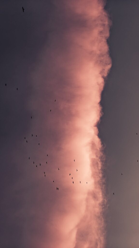Closeup of large smoke of fire rising on dark sky in evening time